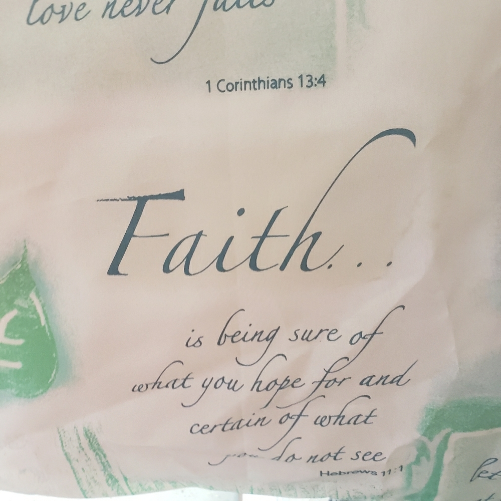 Shower Curtain/plus liner/12 Hooks